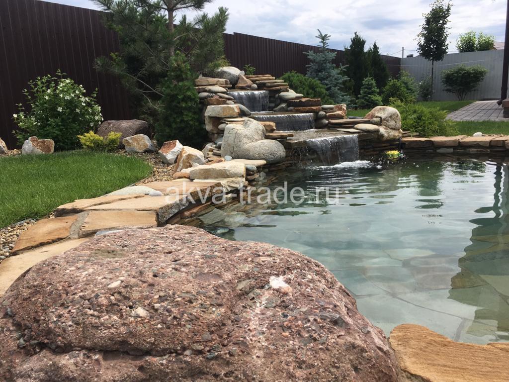 Водоем с растениями