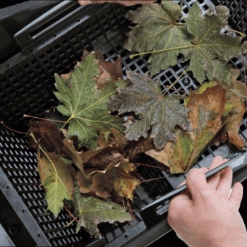 Скиммер для пруда POND SKIMMER 40 Pondtech