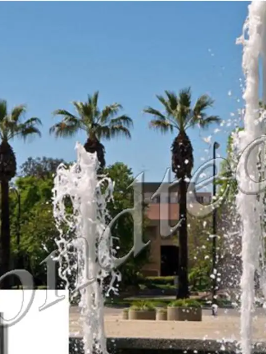 Фонтанная насадка CB 40 Pondtech