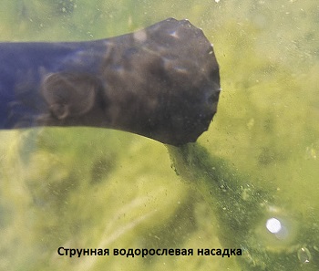 Пылесос для пруда Pondovac Classic Oase